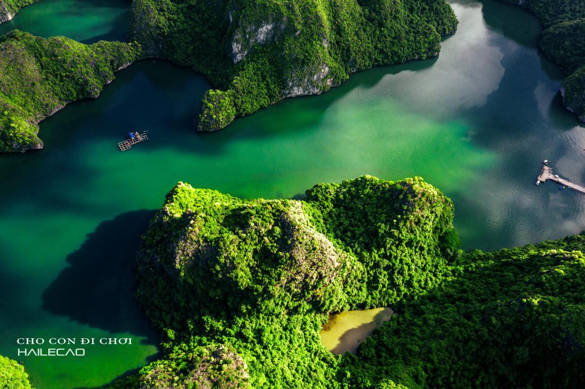HALF-DAY LAN HA BAY TOUR – KAYAKING – SWIMMING – SNORKELING