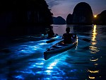 Full-day Tour - Lan Ha Bay Experience – Kayak - Plankton - Dinner