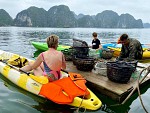 Full-day Tour - Lan Ha Bay Experience – Kayak - Plankton - Dinner