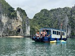 LAN HA  & HA LONG BAY DAY TOUR – KAYAKING – SWIMMING – SEAFOOD LUNCH