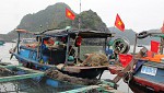 Lan Ha Bay Full-Day Tour: Fishing Village, Kayaking & Local Fishing -