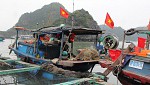 Discover the Real Lan Ha Bay - Full-Day Adventure by Local Boat & Kayak
