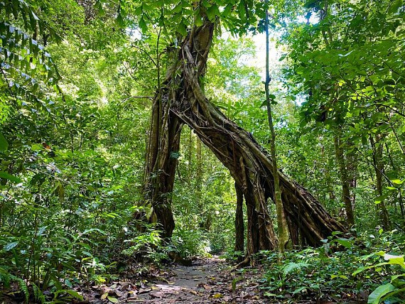 A Day Trekking Tour Through Cat Ba National Park to Viet Hai Fishing Village - Cycling - Kayaking - Lan Ha Bay