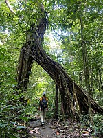 A Day Trekking Tour Through Cat Ba National Park to Viet Hai Fishing Village - Cycling - Kayaking - Lan Ha Bay