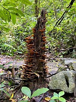 A Day Trekking Tour Through Cat Ba National Park to Viet Hai Fishing Village - Cycling - Kayaking - Lan Ha Bay