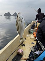 Half-Day Tour - Fishing Experience in Lan Ha Bay