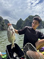 Half-Day Tour - Fishing Adventure with a Local Guide