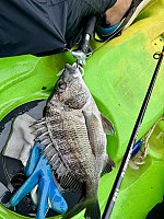 Half-Day Tour - Fishing Adventure with a Local Guide