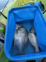Half-Day Tour - Fishing Adventure with a Local Guide