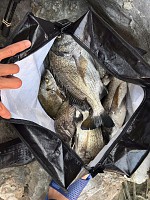 Half-Day Tour - Fishing Adventure with a Local Guide