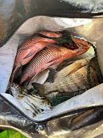 Half-Day Tour - Fishing Adventure with a Local Guide