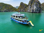 3–5 STAR LAN HA BAY DAY CRUISE TOUR